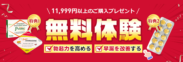商品詳細_送料無料