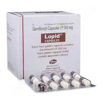 ゲムフィブロジル300mg